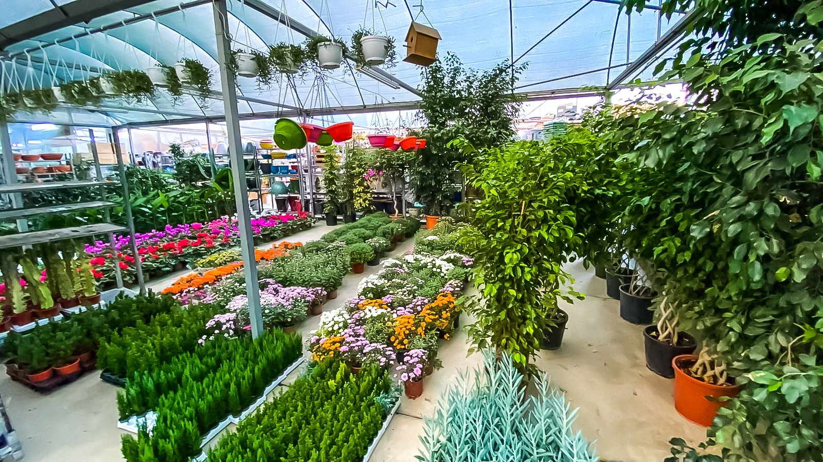 MARKA BOTANİK PEYZAJ