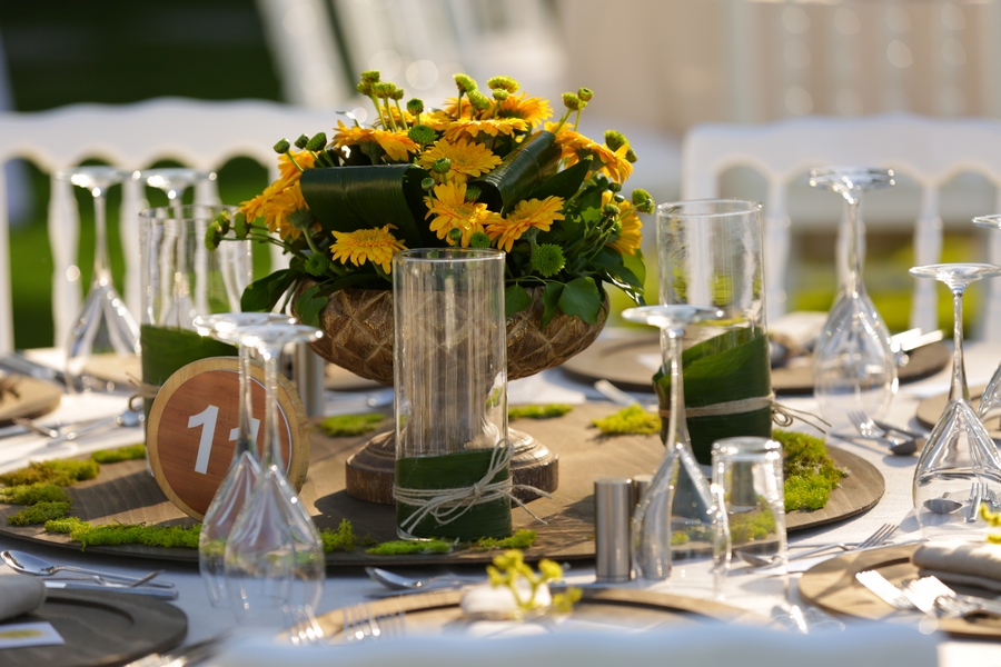 BEYAZ LALE ORGANİZASYON